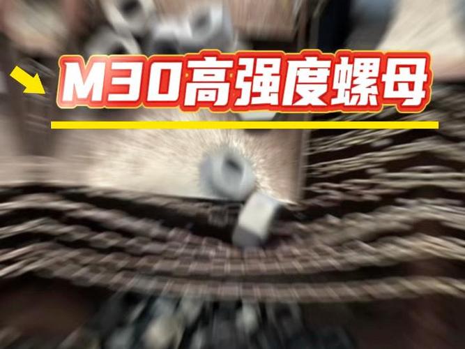 有需要的老板,直接私信我#锻造 #紧固件 #源头工厂 #实力厂家#螺母#风